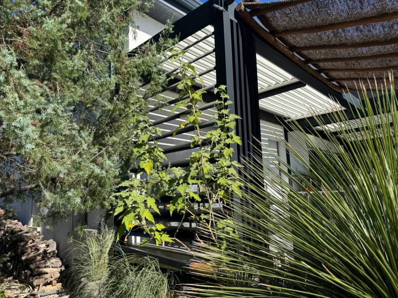 Ajout sur une pergola existante d'un BSO à lames orientables motorisées fabriquée sur mesure à Villevieille dans le 30