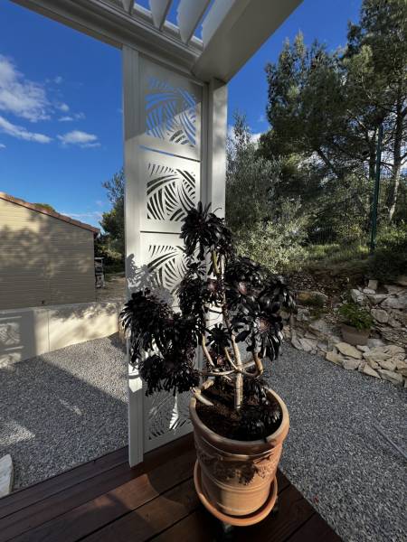 Réalisation d'une pergola à lames orientables motorisées fabriquée sur mesure et installée à Montpellier dans le 34