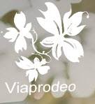 Cabinet de médecine traditionnelle chinoise Saint-Martin-La-Plaine (42) Viaprodeo